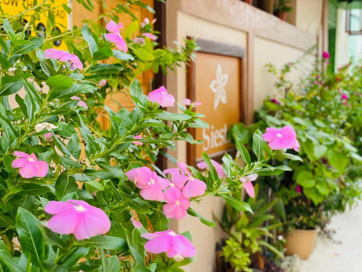 Siesta Beach Hotel остров Маафуши Екстериор снимка